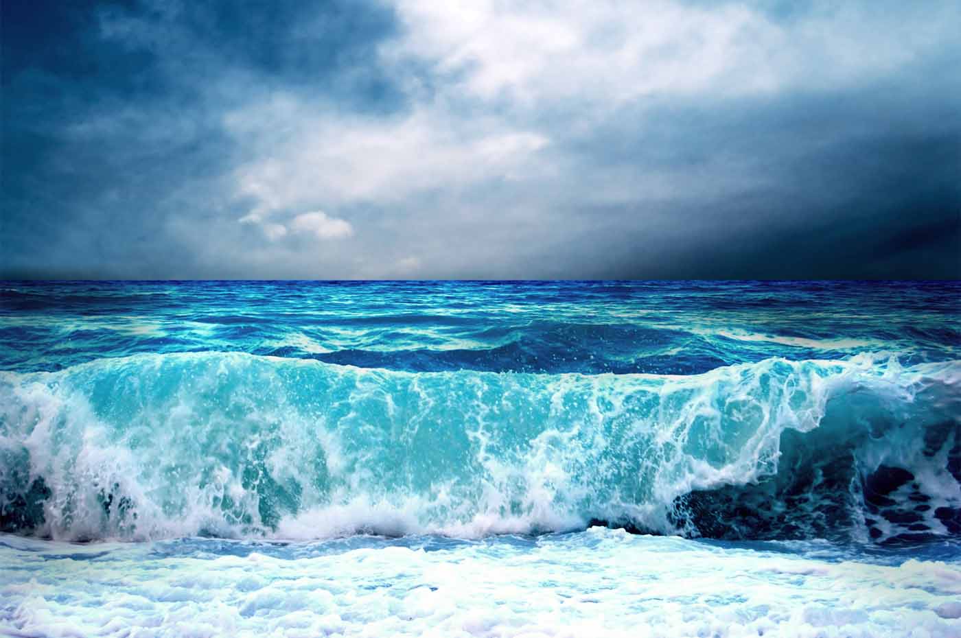 Mind, Thoughts and Desires