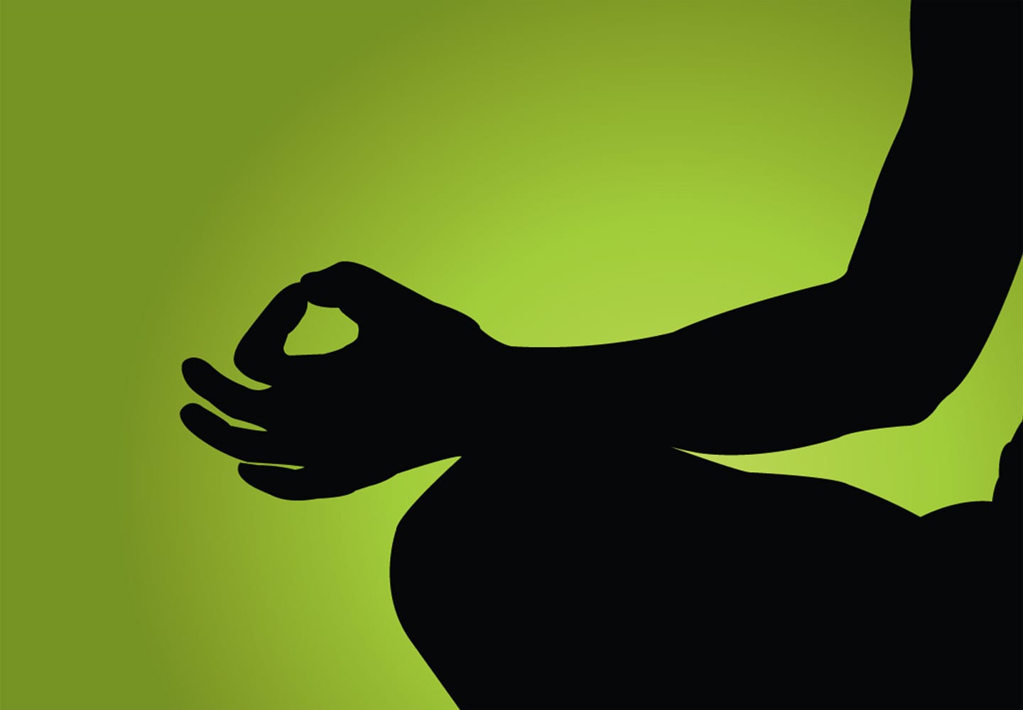 The Meaning of Samadhi