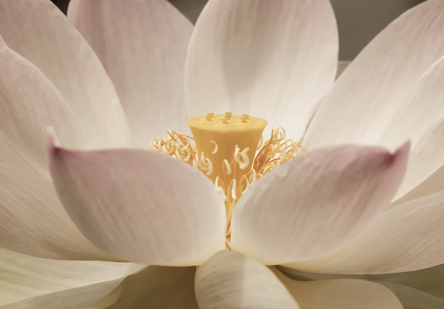 Self Transformation - Prologue