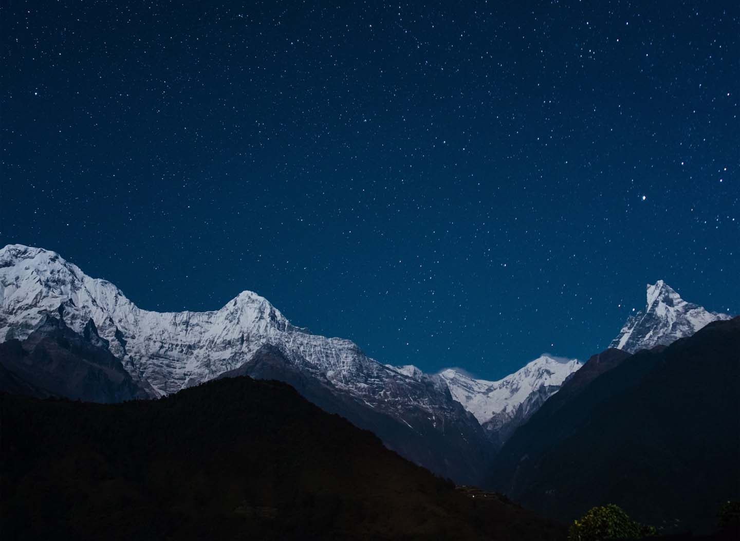 My Time in the Himalayan Woods