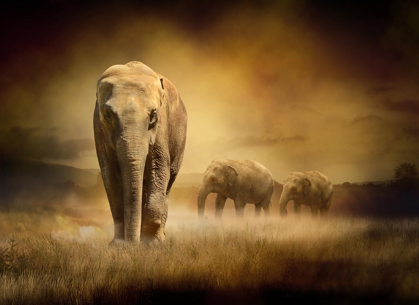 Laziness in Meditation