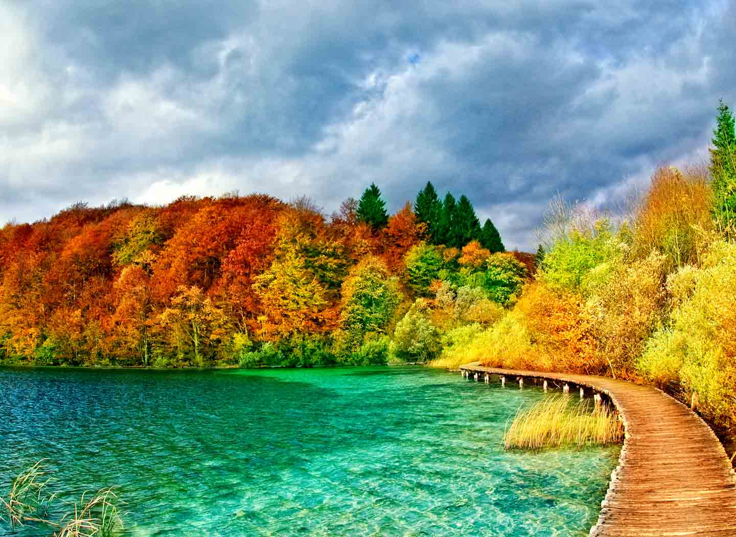 Emotional Healing — Erasing Psychic Imprints