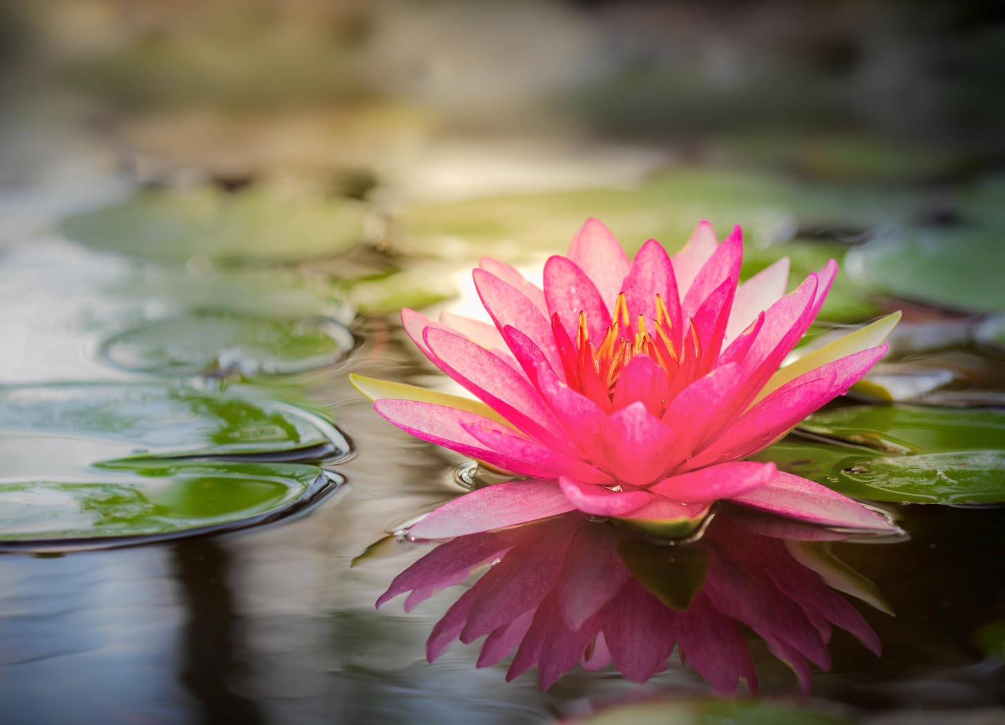 5 Ways To Coming Out Of Negativity