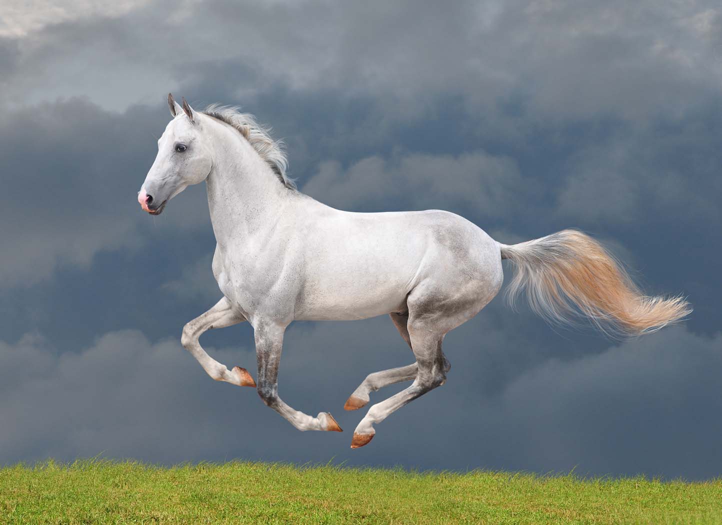 How to Deal with Self-Doubt