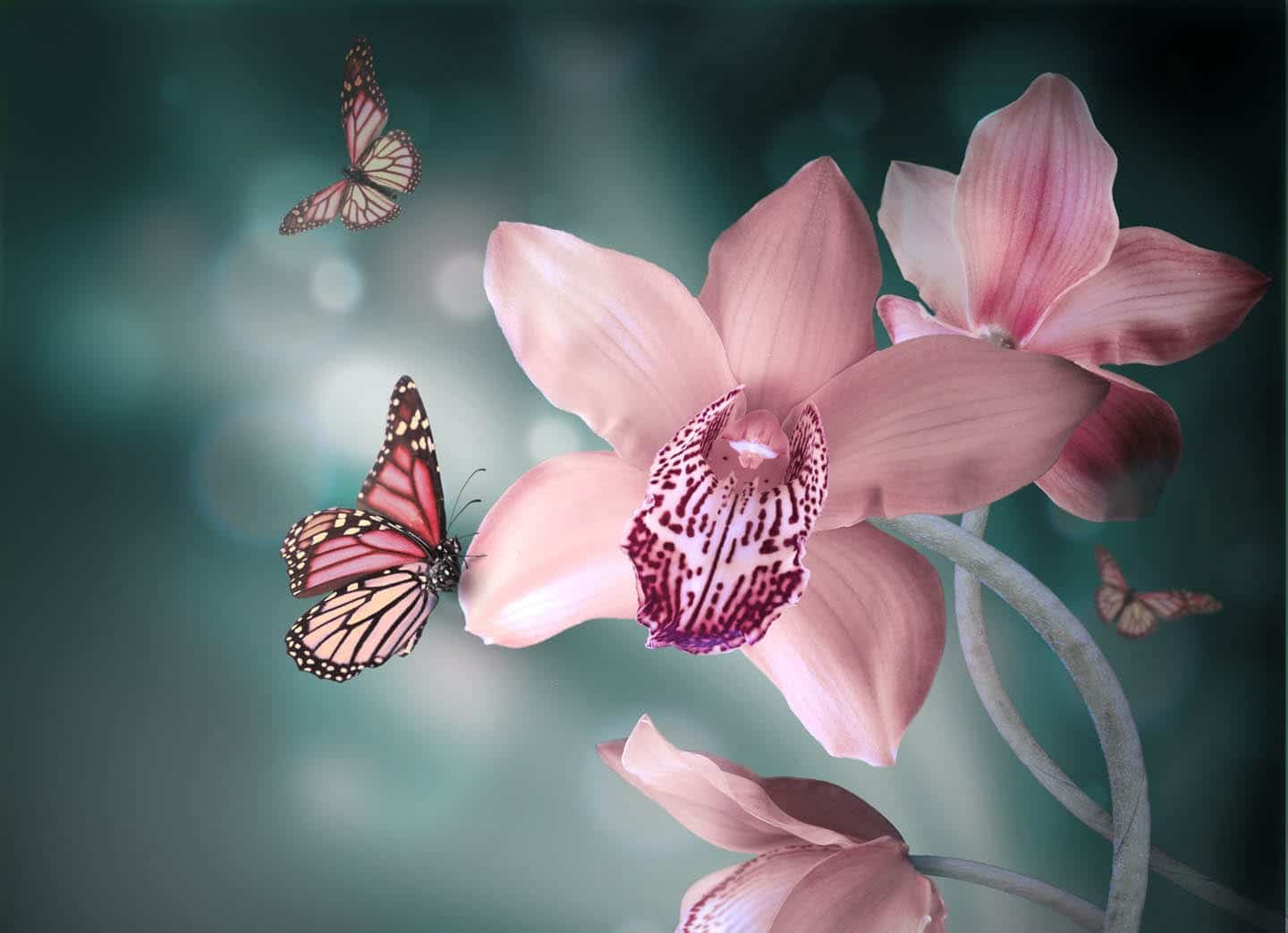 When to Move Out of a Relationship