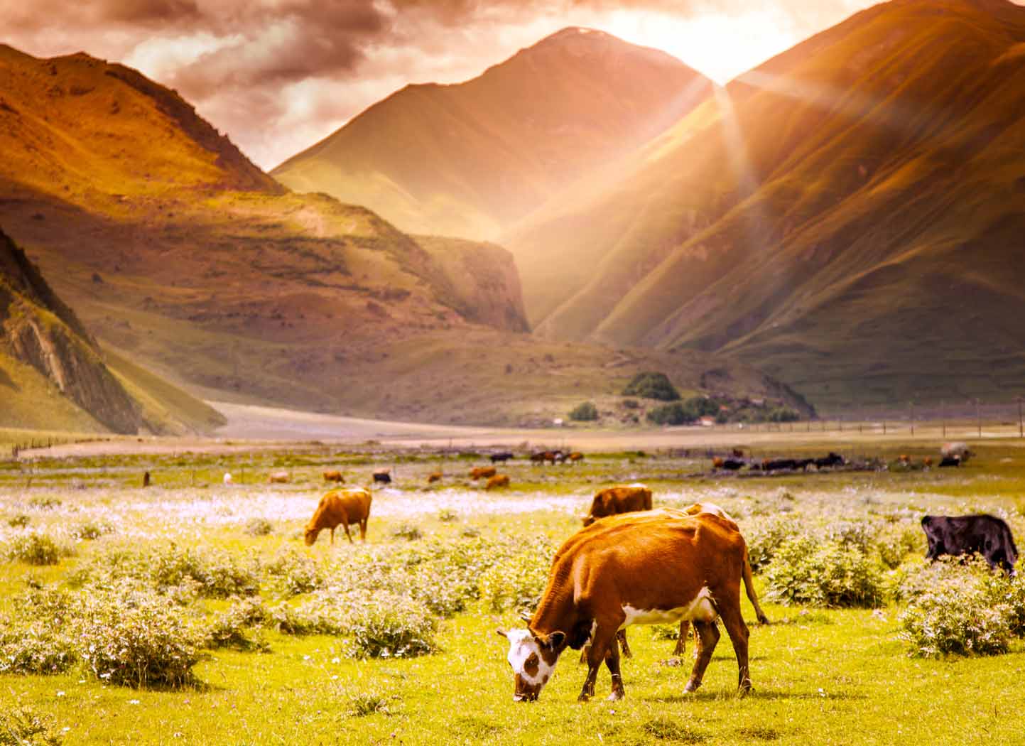 Pretending to be Someone Else