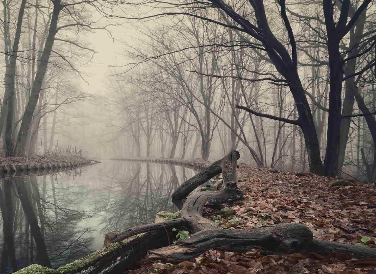 Do you Ignore Yourself?