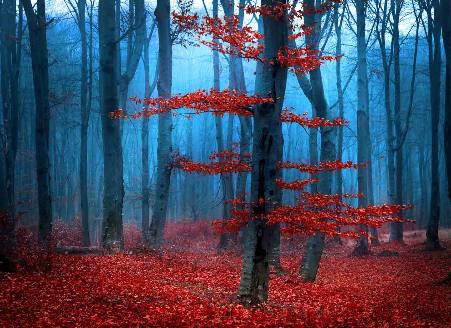 Self-Esteem and Weight Loss