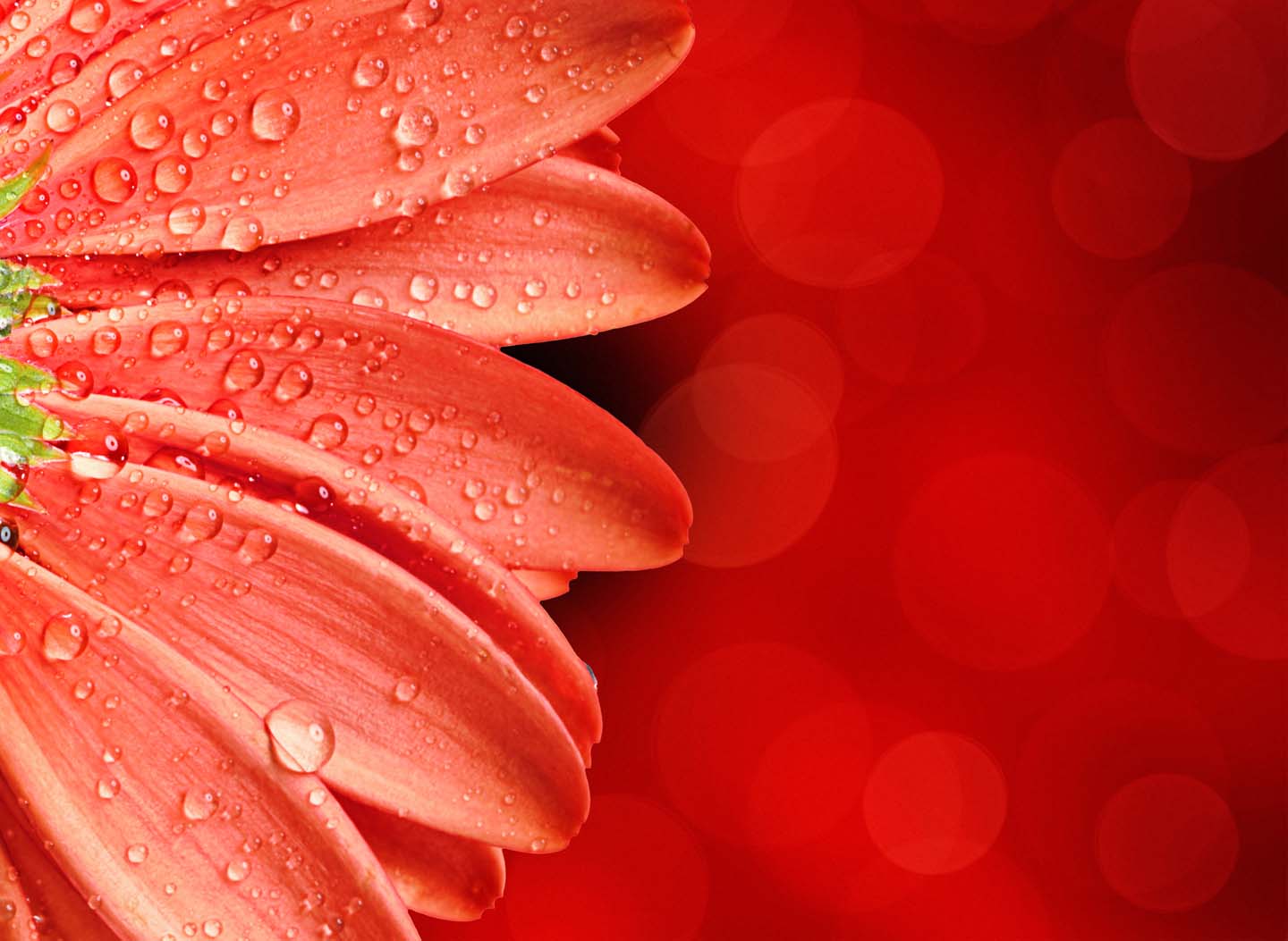 Nine States of Attention