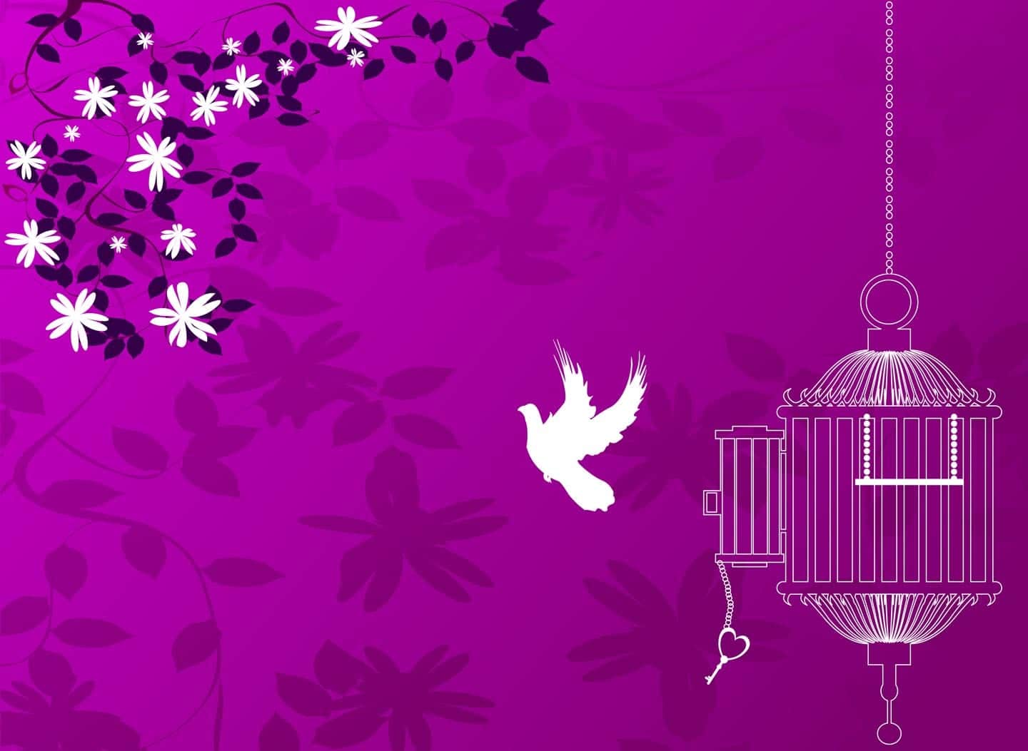 What do You Really Want?