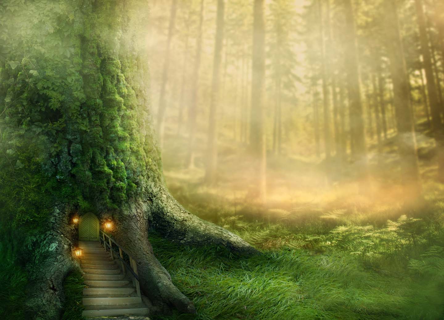 Making Your Dreams Come True