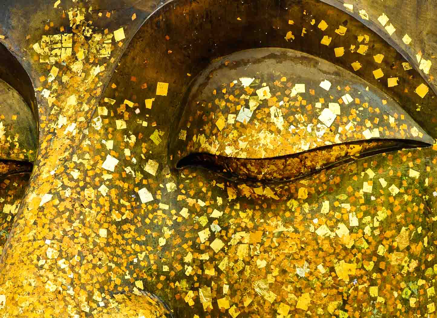 What is the Meaning of Life?