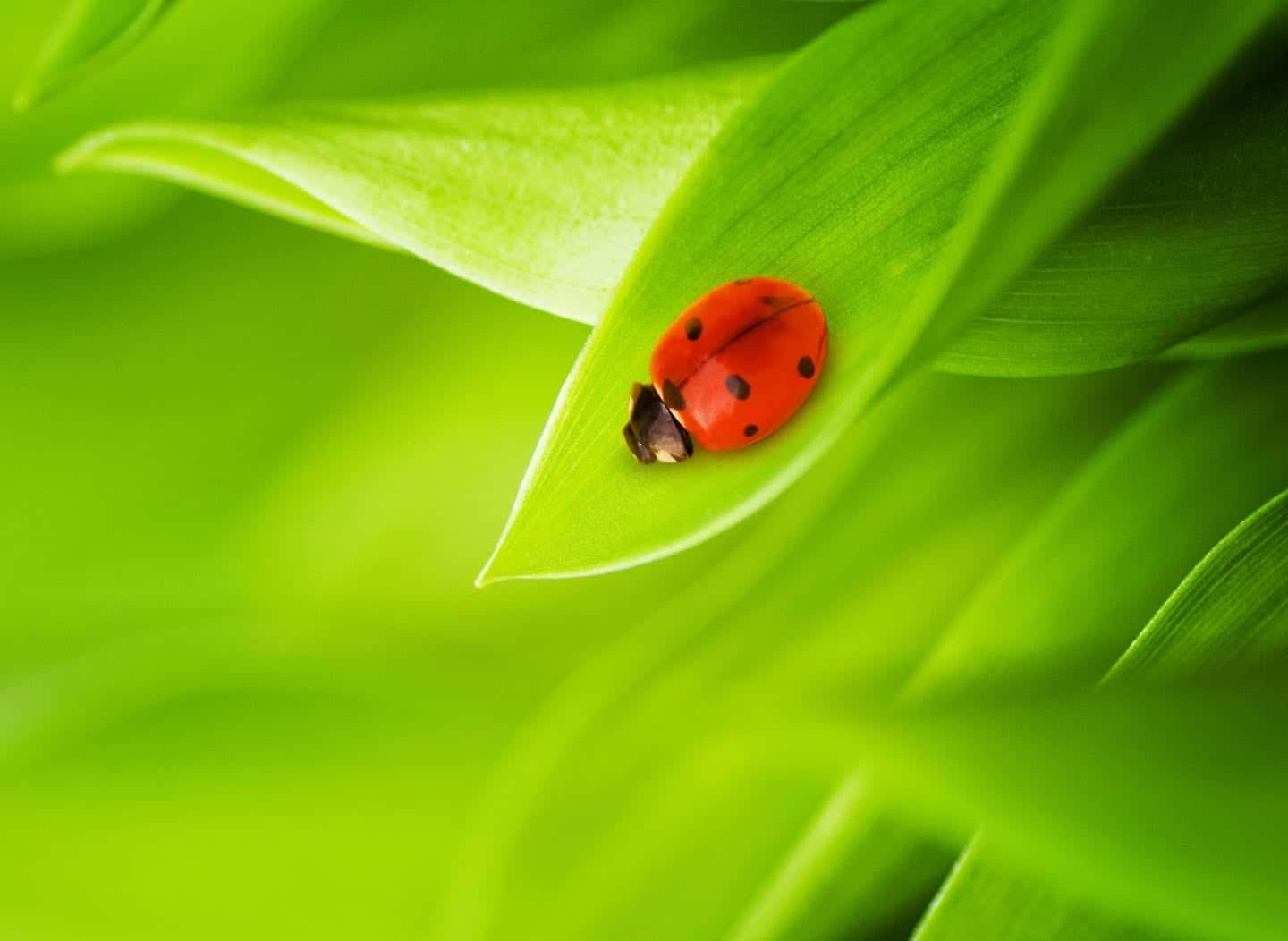 When They Trigger Anger in You