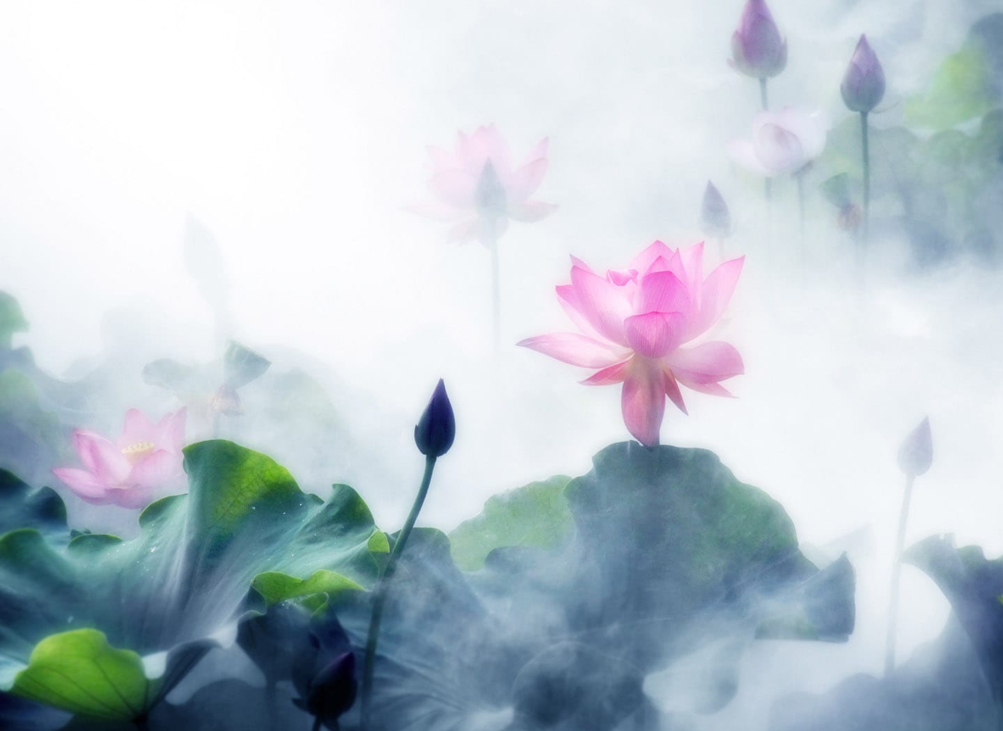 Nine States of Awareness