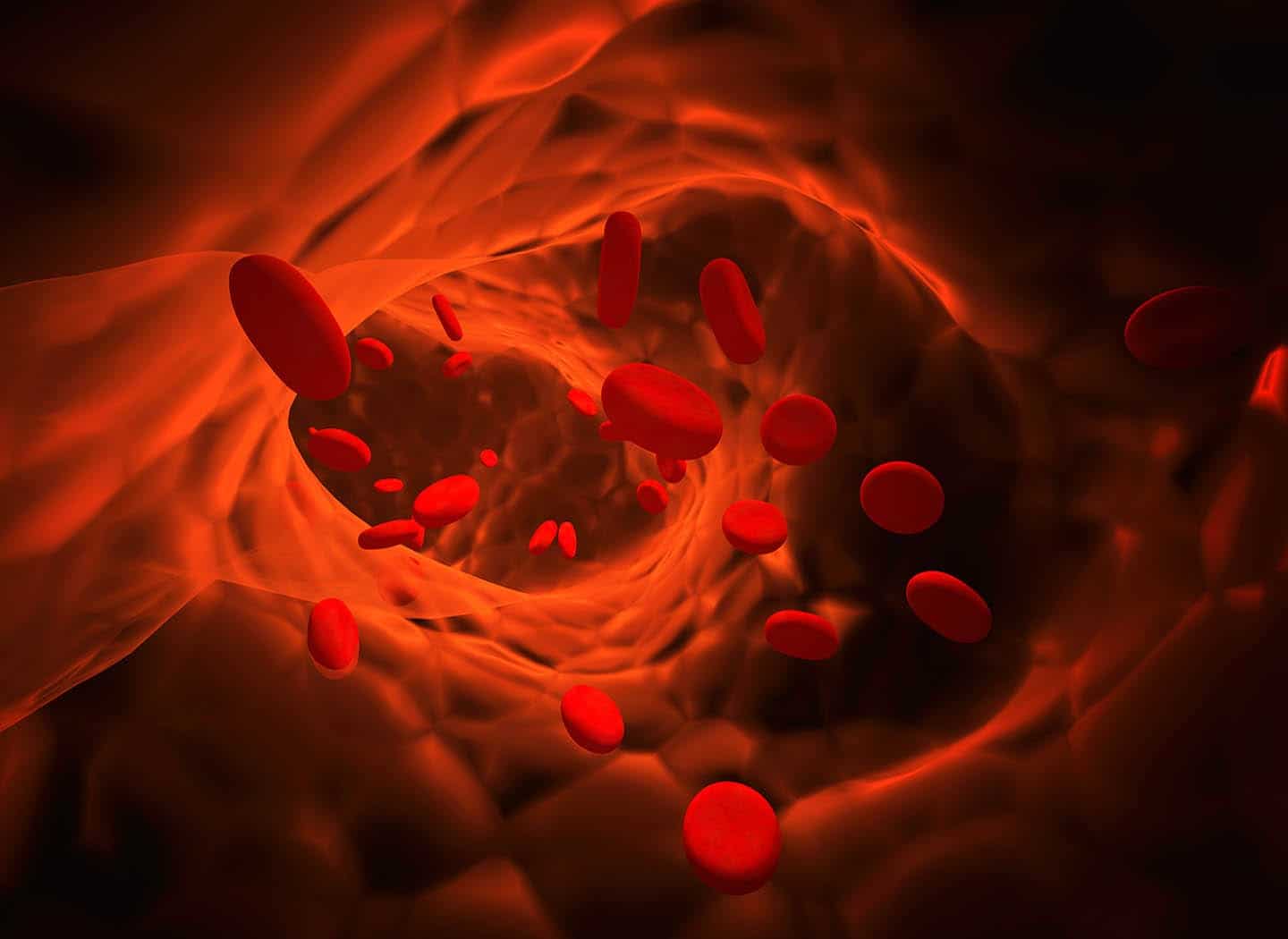 Collective Consciousness