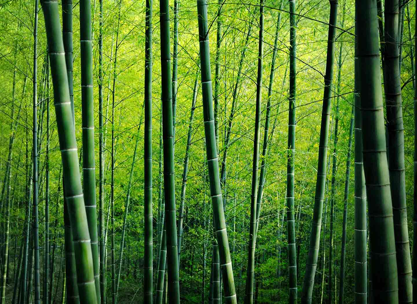 How to Build a New Habit