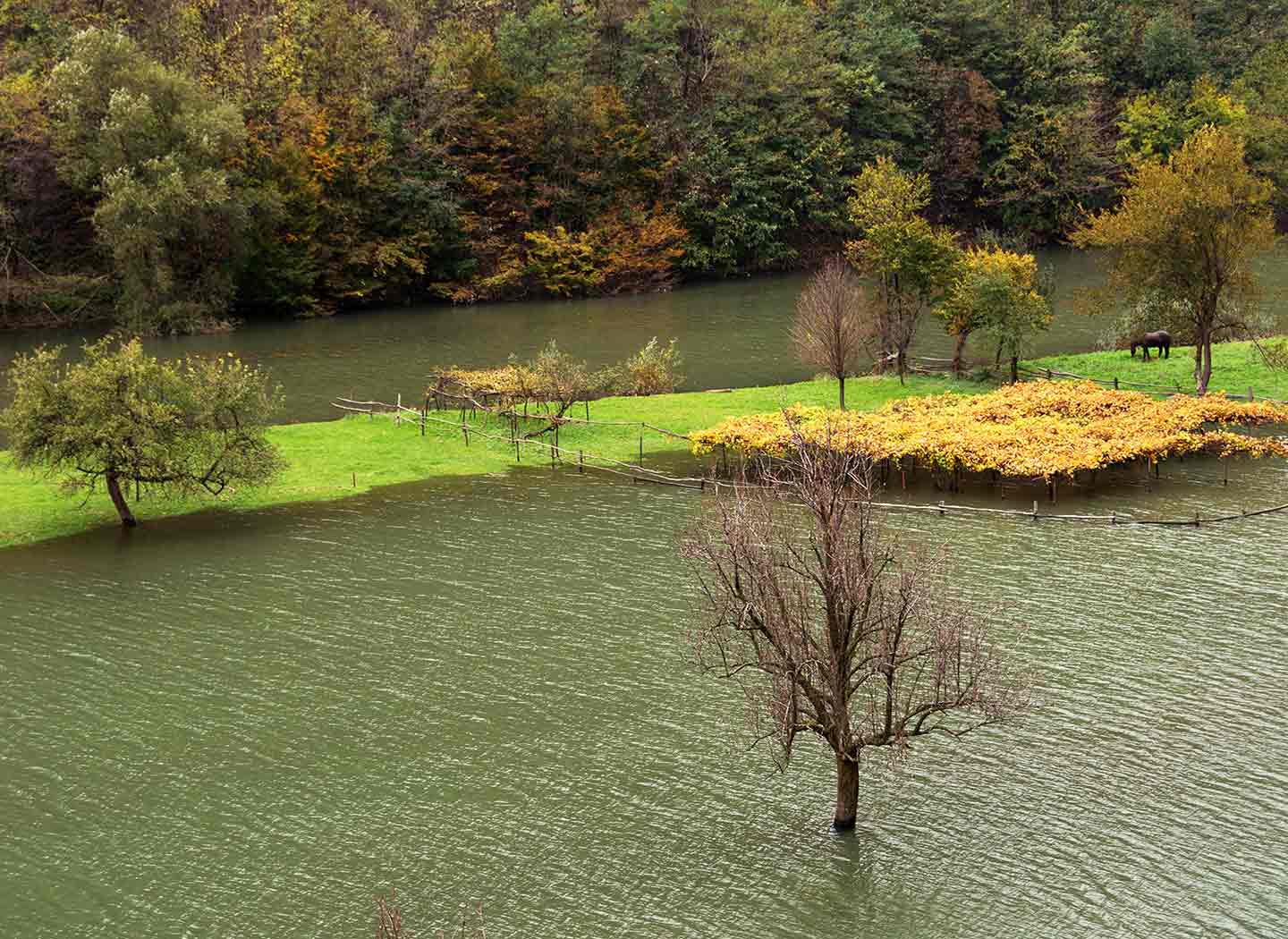 When Care Destroys Love