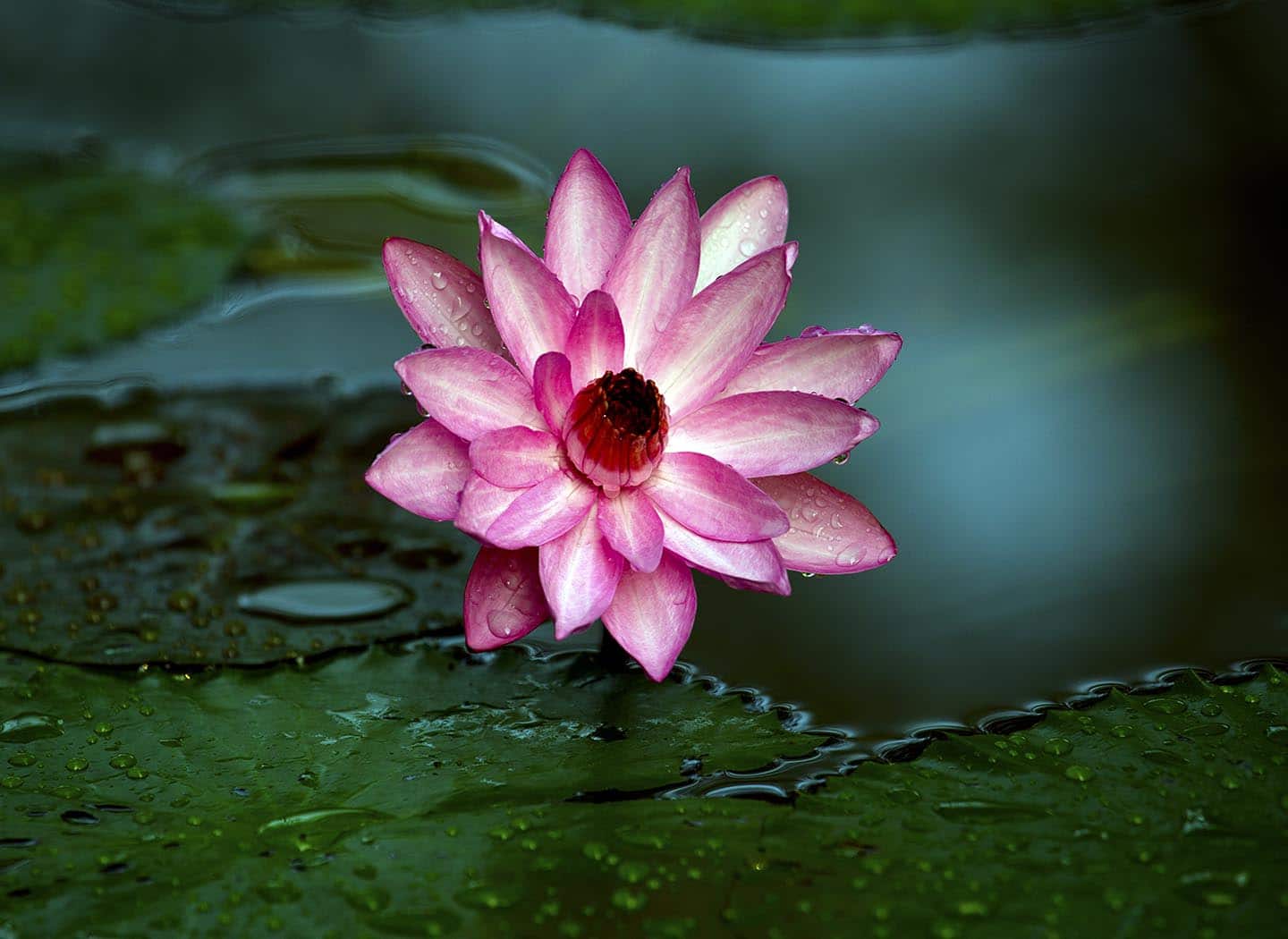 The Secret of Happiness