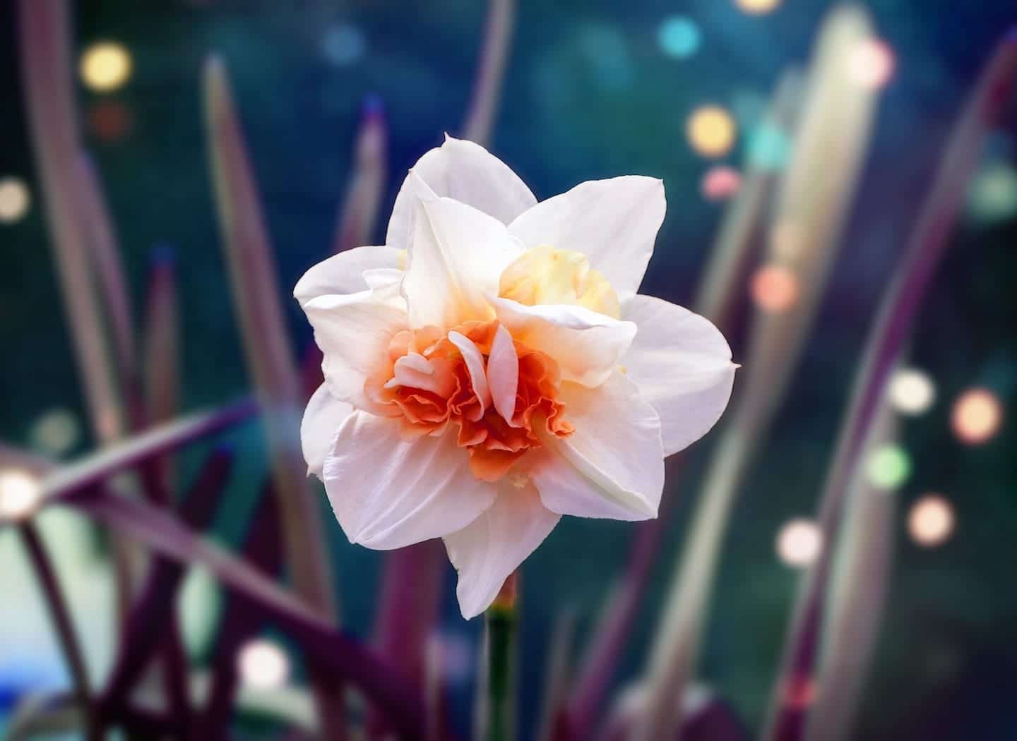 How to make a Relationship last?