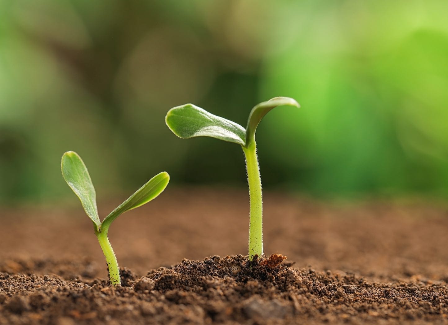 The Bondage of Beliefs