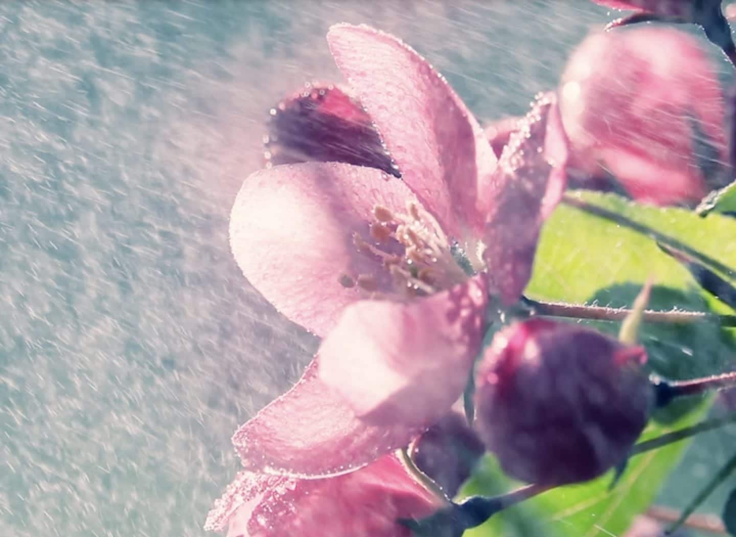 Side Effects of Meditation