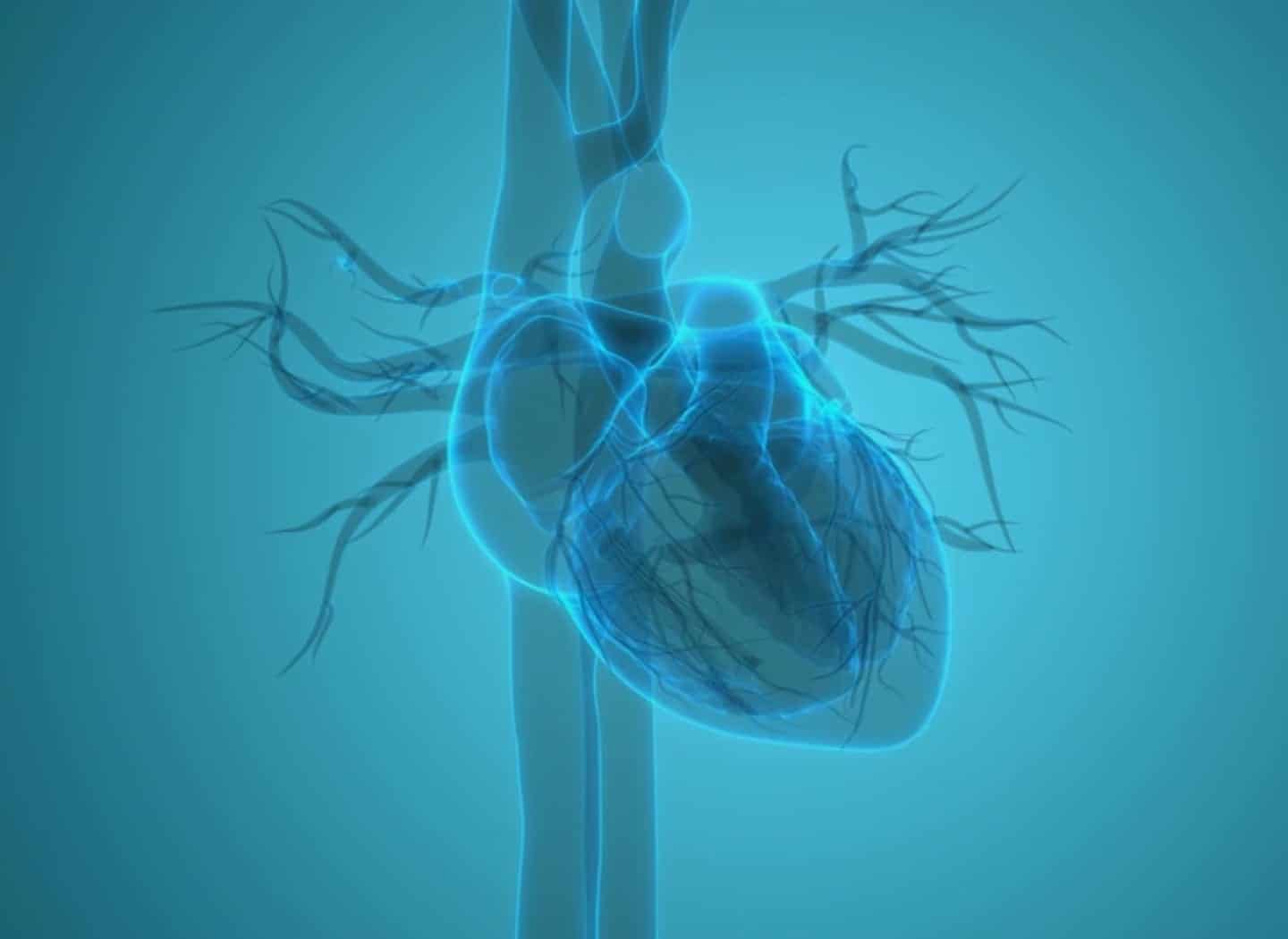 Battling Your Biology