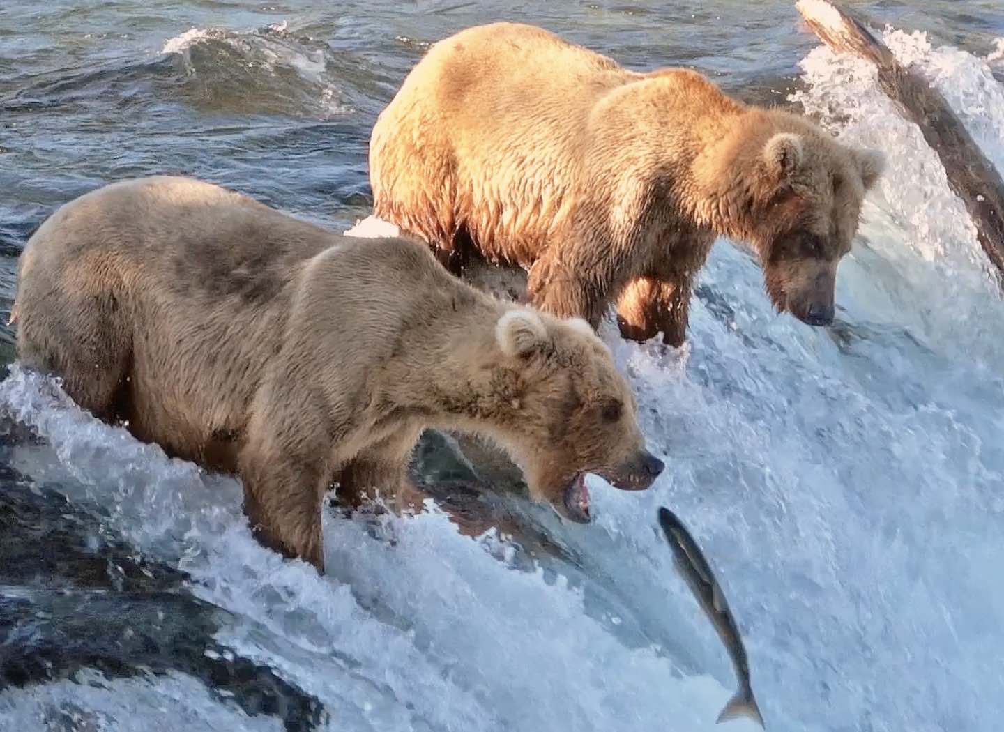 Personal vs. Private