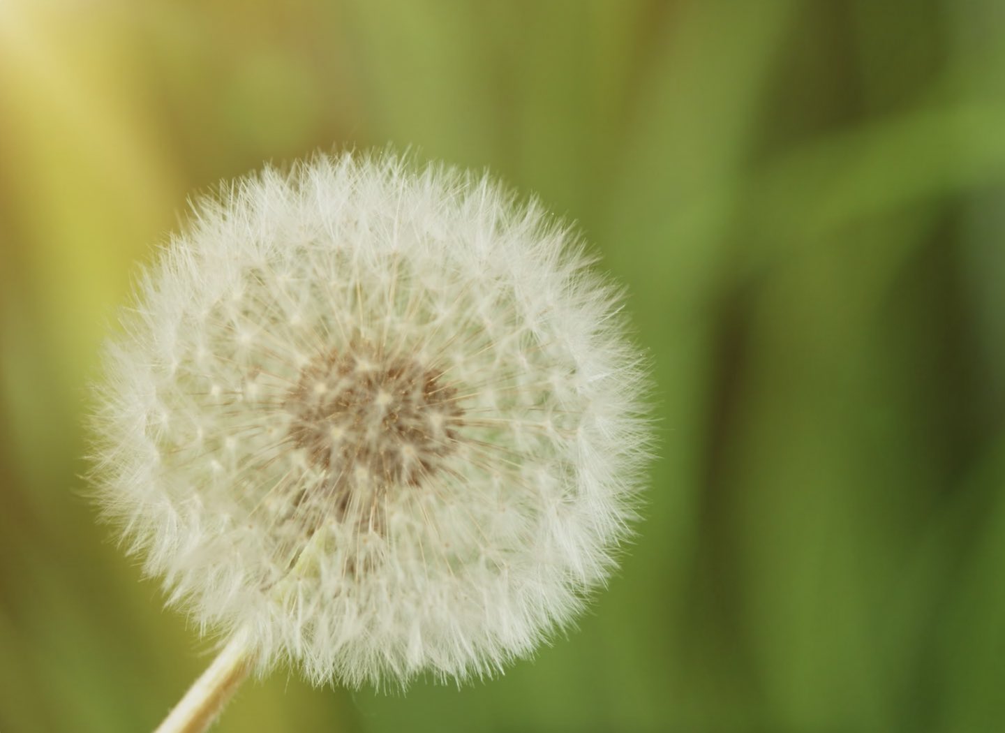 The Top Five Regrets of the Dying