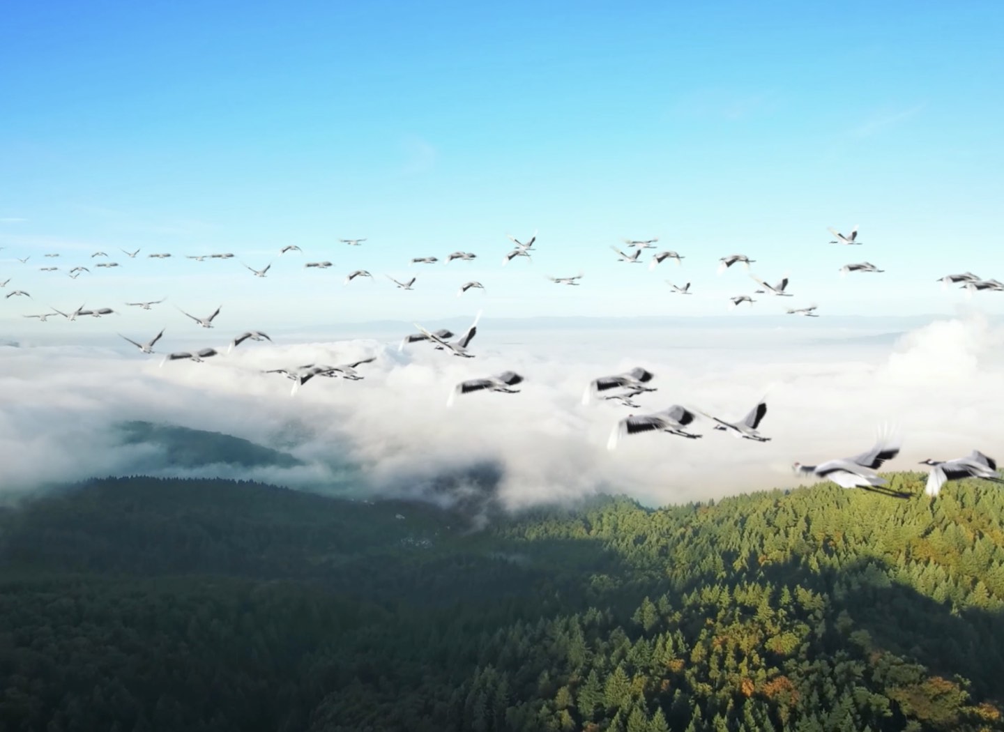 The Clever Adulteress